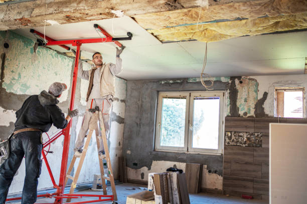 Best Cellulose Insulation in Island Lake, IL