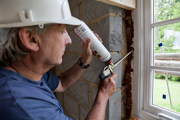 Best Specialized Insulation Services in Island Lake, IL